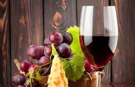 Festa dell'uva e del vino a Terricciola