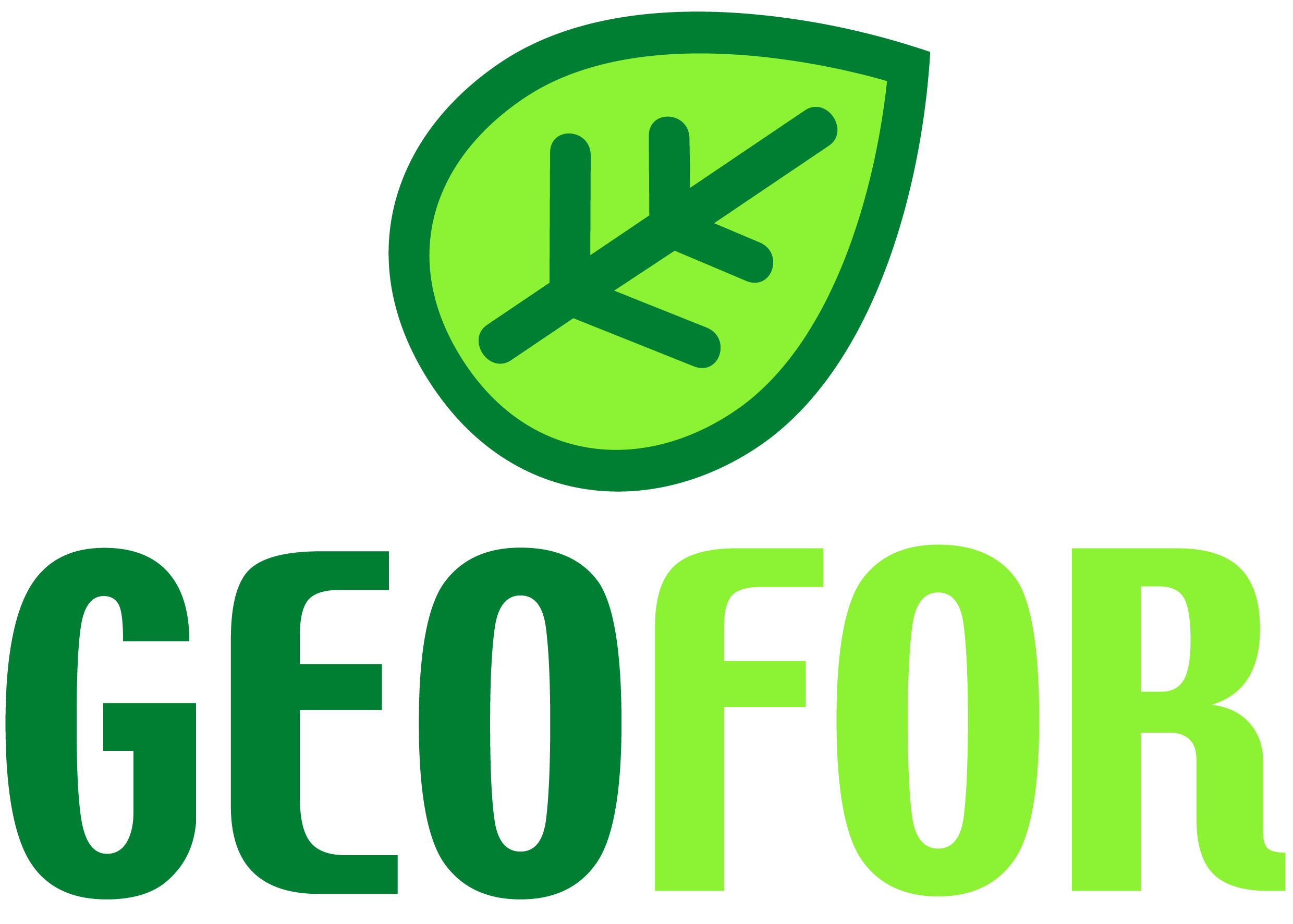 Geofor