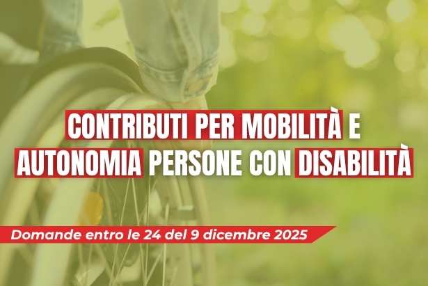 contributi disabili