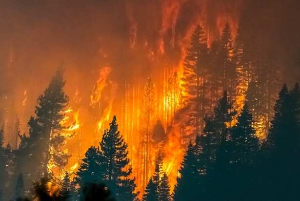 incendio